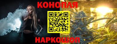 a pvp Новозыбков