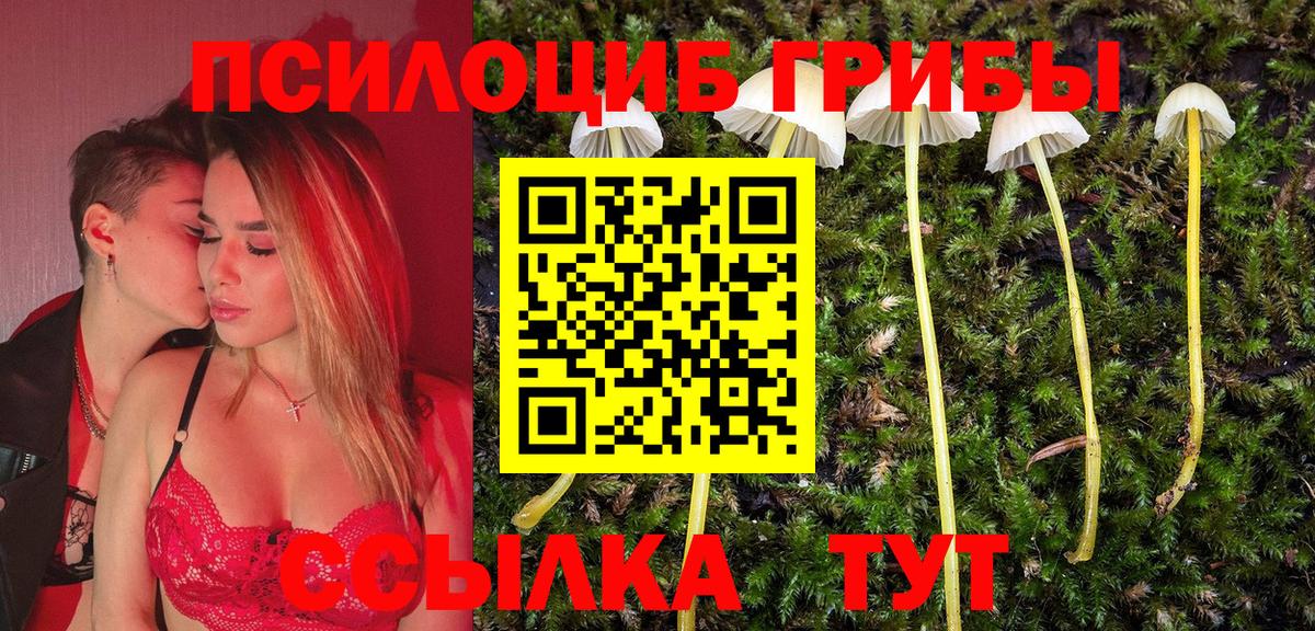 Кизилюрт  Псилоцибиновые грибы ЛСД  Вход с VPN  Псилоцибиновые грибы Psilocybe 